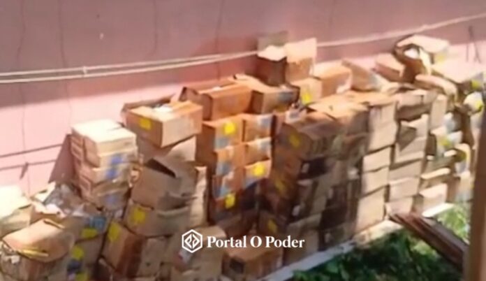 Personalizado 1000 x 577