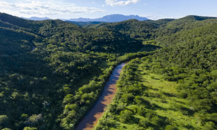 licenca-ambiental-768x459